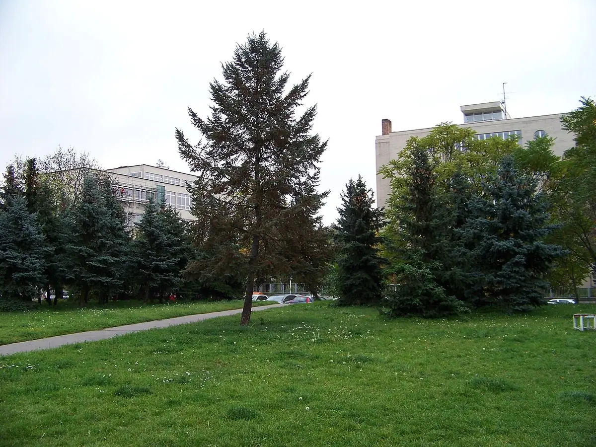 Budova školy: Gymnázium Špitálská